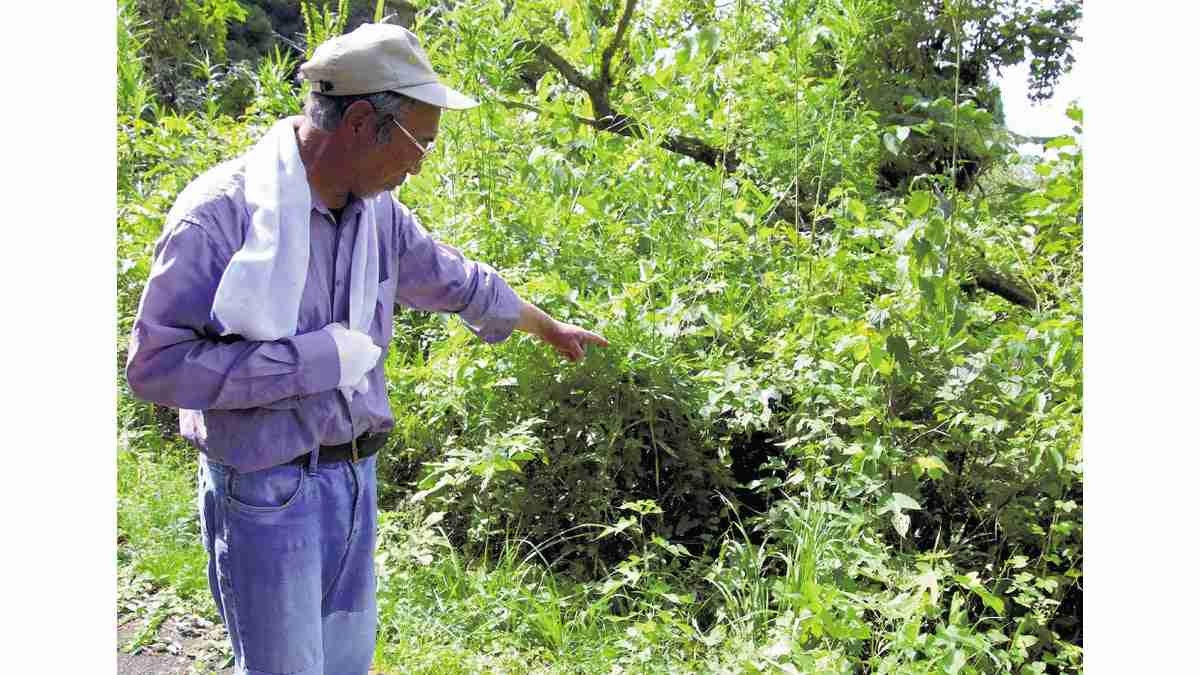 「玄関を出たらクマの世界だ」…秋田でクマ被害が過去最悪ペース、被害者「４ｍ飛ばされた」 : 読売新聞