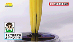 万年筆・ガラスペン好きな人！
