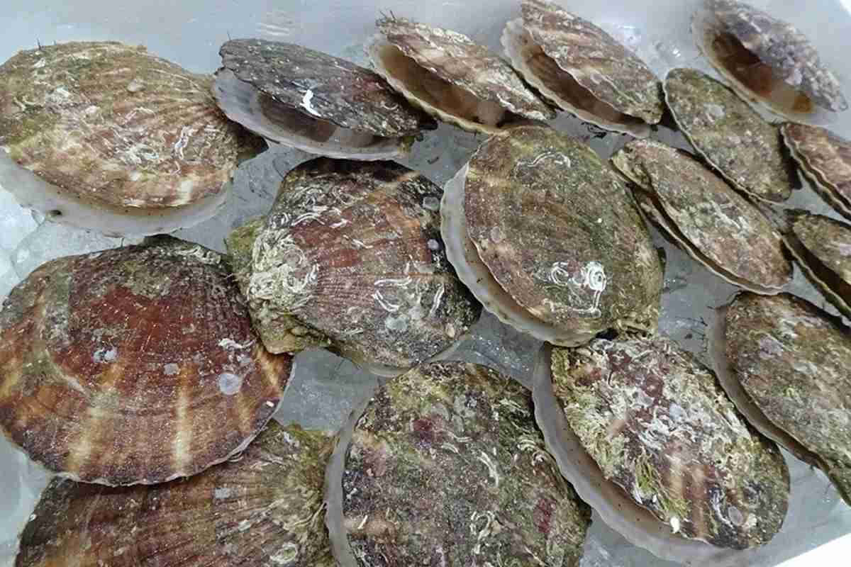 「ホタテだけでは終わらない」 中国がまだ握っている“日本の食を揺さぶる強力なカード” | マネーポストWEB - Part 2