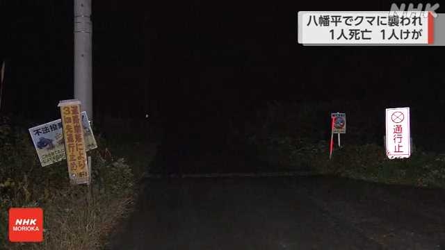 八幡平で男女2人がクマに襲われる 男性搬送 女性の遺体発見|NHK 岩手県のニュース