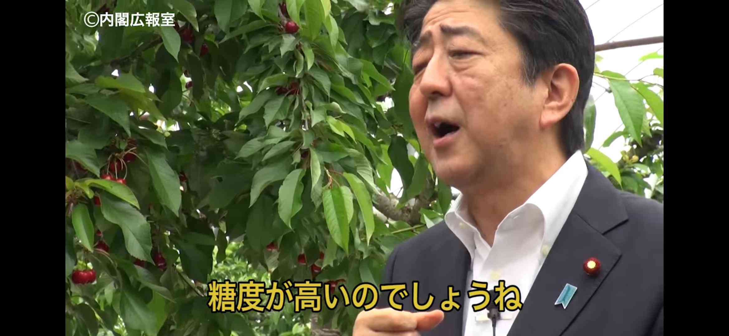 前首相の菅義偉氏　20代半ばまで「フラフラした人生」　就職して気付いた「政治が世の中を動かしてる」