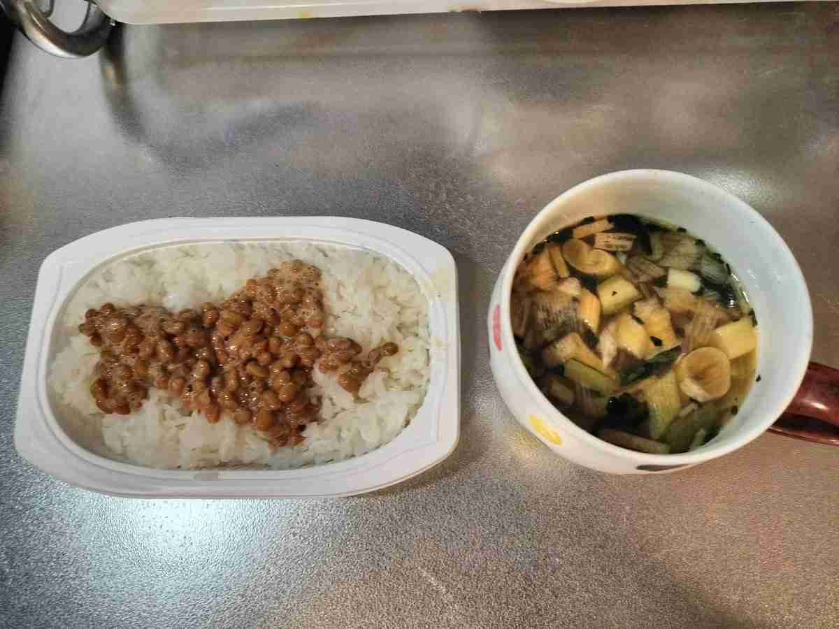 「おなかがいっぱいになればよいよい」やす子、忙しい日常のリアルな“夜ご飯”を公開