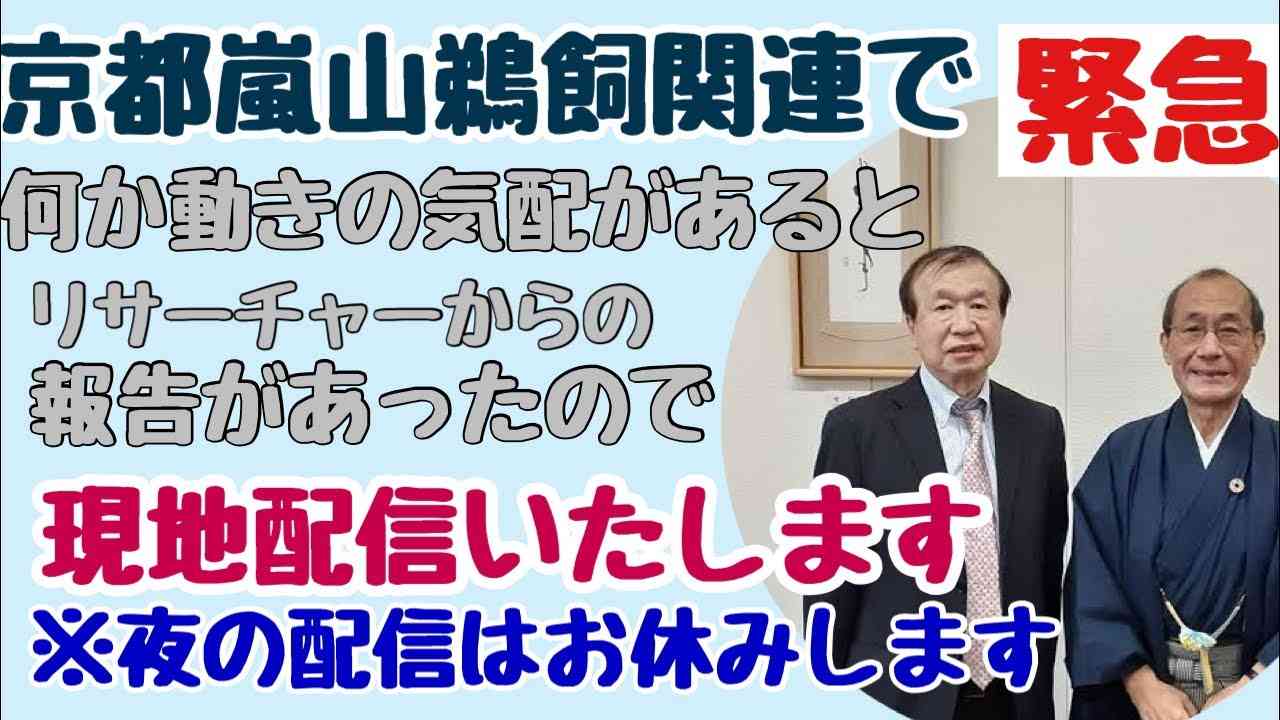 【緊急配信】13時半くらいから（開始時間は多少前後することがあります）京都嵐山付近から緊急ライブ！リサーチャーからの特別情報！ - YouTube