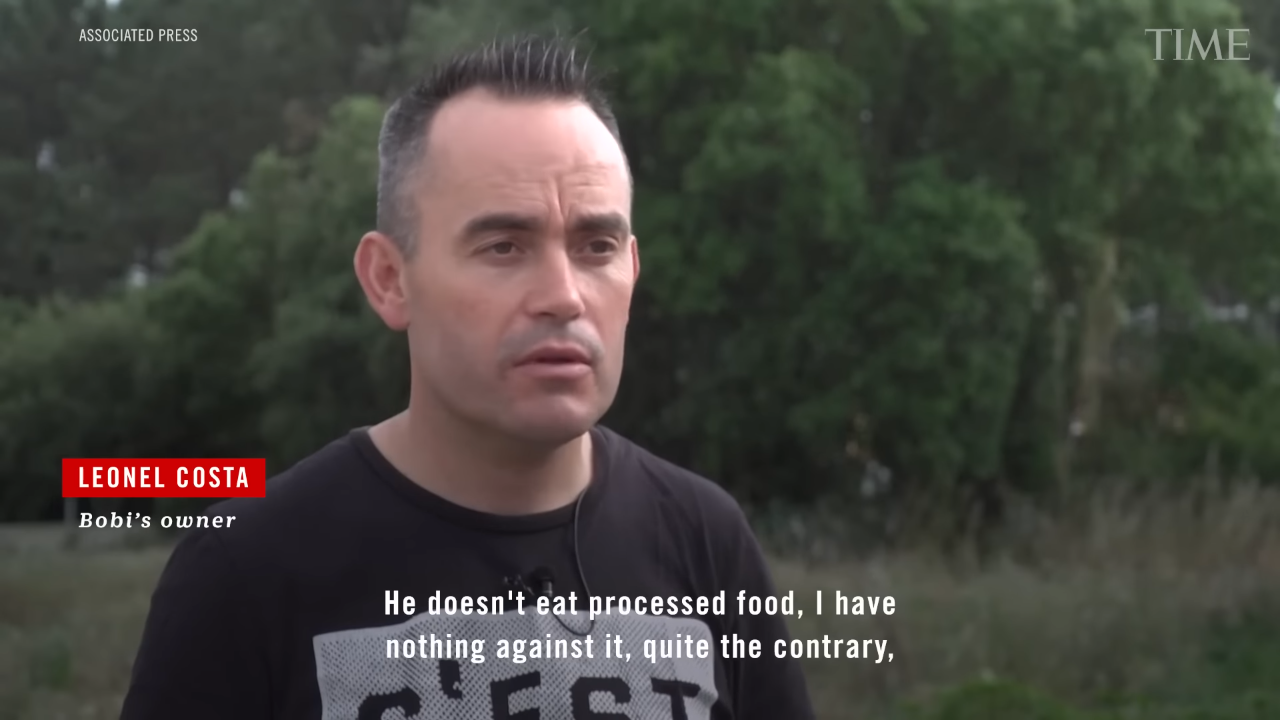 世界最長寿の犬「ボビ」死ぬ　31歳と165日　ポルトガル原産の純血種、平均寿命は12～14歳