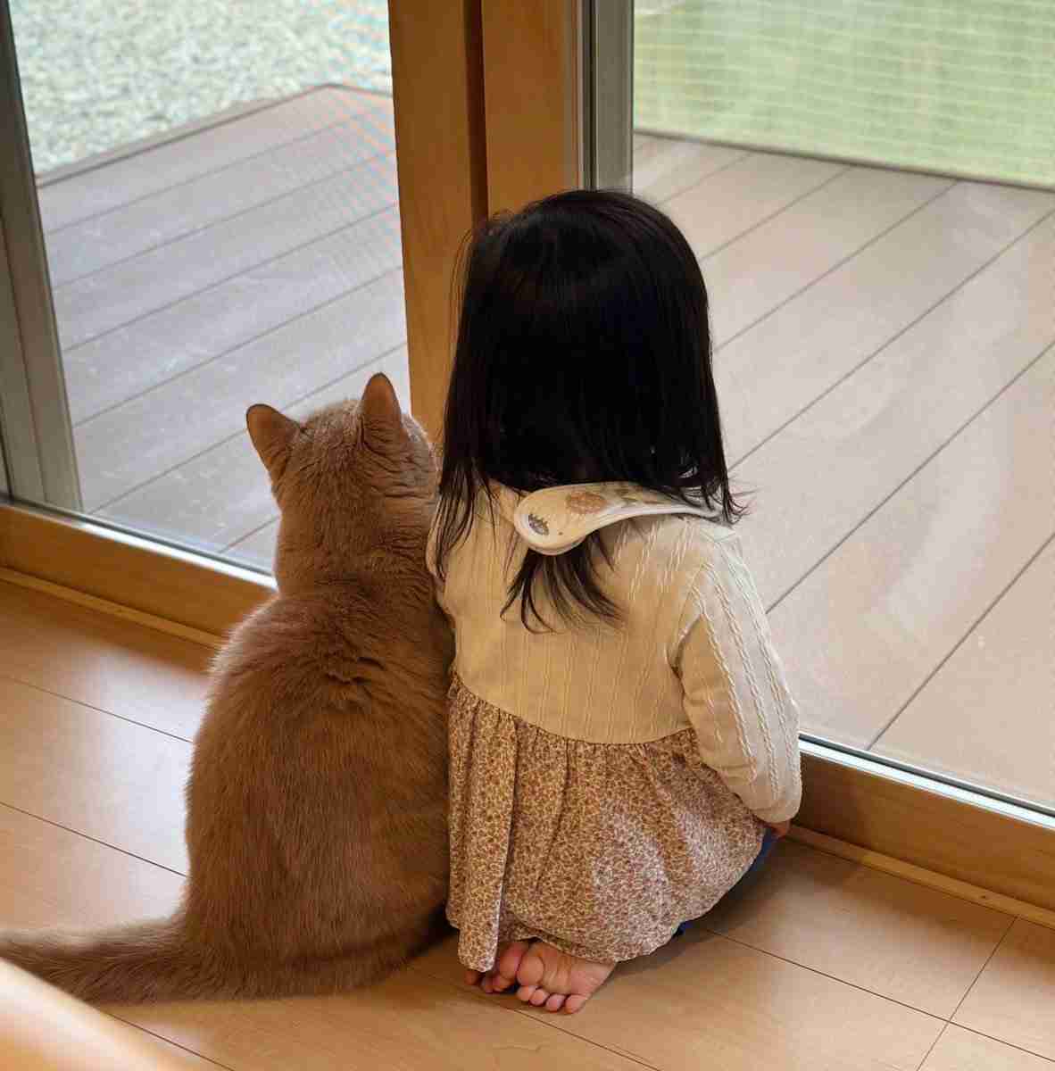 「何このかわいい光景」2歳娘と猫がピッタリと寄り添う後ろ姿が尊い…いつも仲良し？普段の様子を母親に聞いた