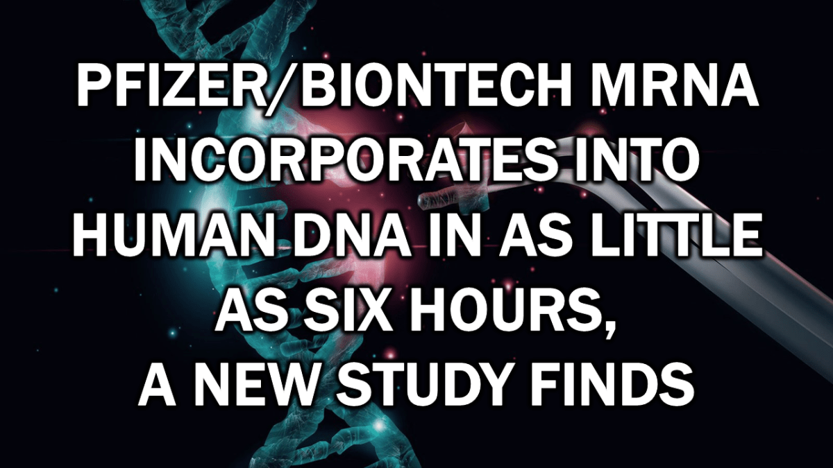 Pfizer/BioNTech mRNA Incorporates into Human DNA In as Little as Six Hours, A New Study Finds – The Expose