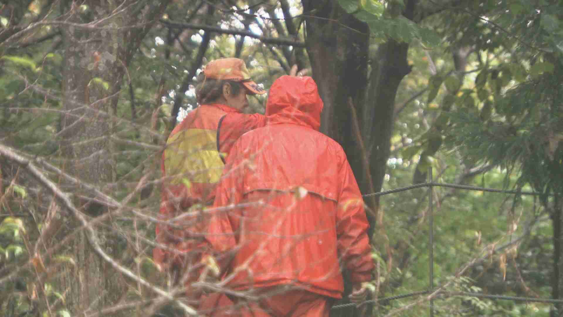 「顔の出血が止まらなくて…」クマに襲われ“ウォーキング中”の84歳男性大けが 金沢市の大乗寺丘陵公園 | TBS NEWS DIG