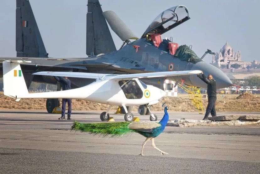 ユニークなシーンを激写!「野生動物面白写真コンテスト」ファイナリスト発表 エアギターなカンガルーやタンゴを踊る馬など41作品