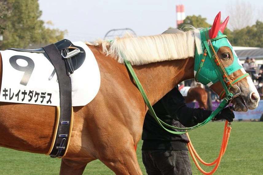 今の気持ちを競走馬の名前っぽく発表するトピ