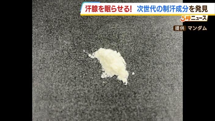 『汗腺を眠らせる成分』大阪大学とマンダムが世界初の発見　“次世代の制汗剤”開発へ | MBSニュース