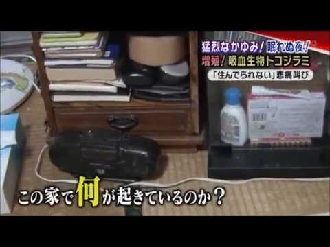 吸血害虫！スーパートコジラミの恐怖【第4弾】 - YouTube