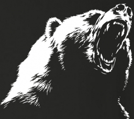 【九州地方】ツキノワグマ出没目撃リスト - 1ページ目65 - クマ出没情報ブログ