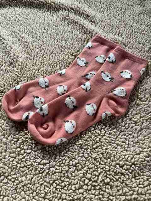 履いてる靴下、最近買った靴下何でも良いので見せてください。