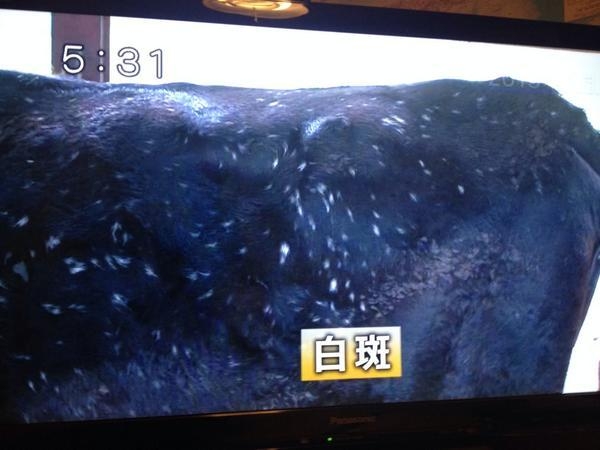 前首相の菅義偉氏　20代半ばまで「フラフラした人生」　就職して気付いた「政治が世の中を動かしてる」