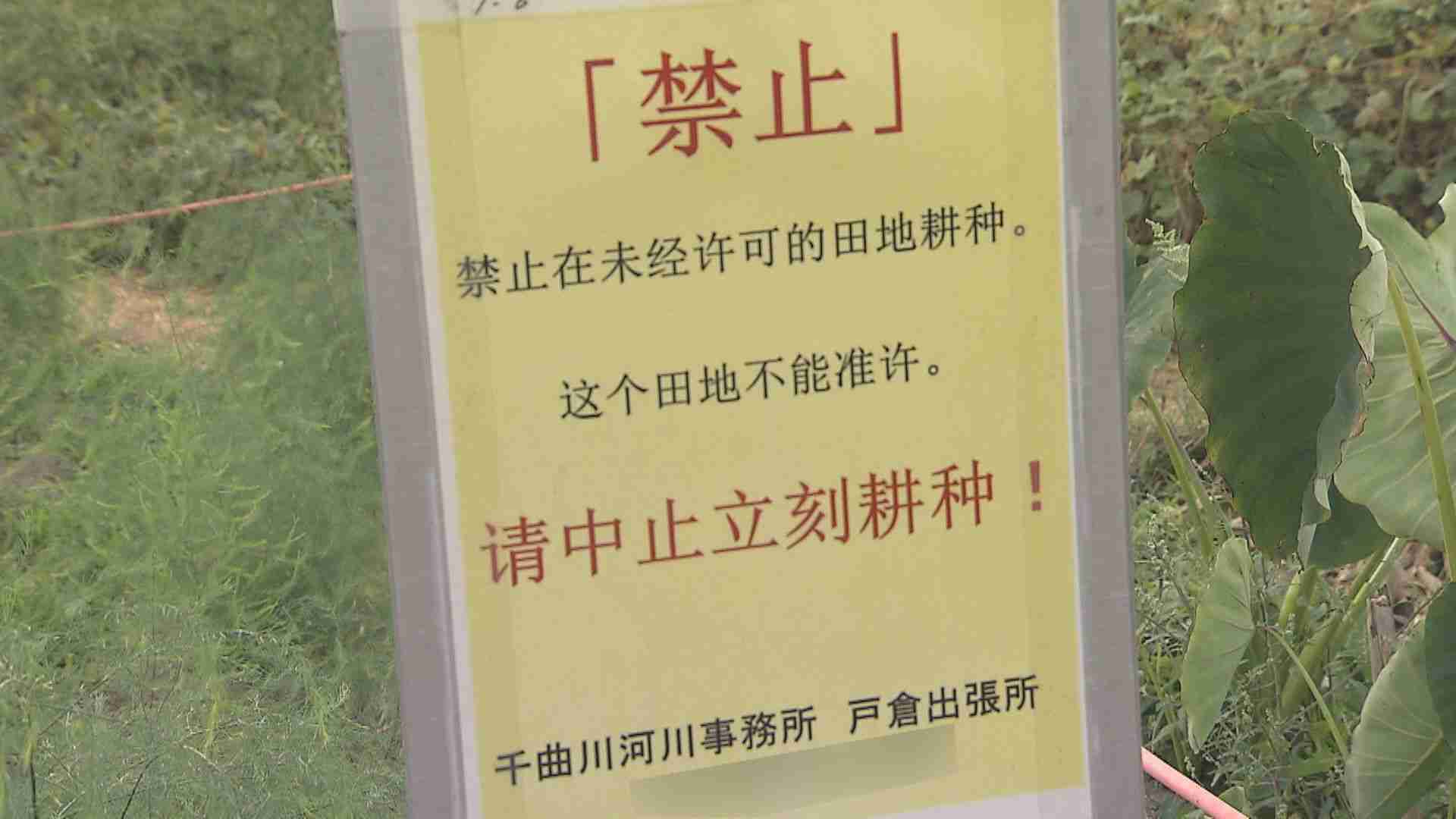 “ヤミ畑”の主を直撃「やめない、知らない」注意無視…河川敷に無許可で　野菜栽培、ニワトリ小屋も