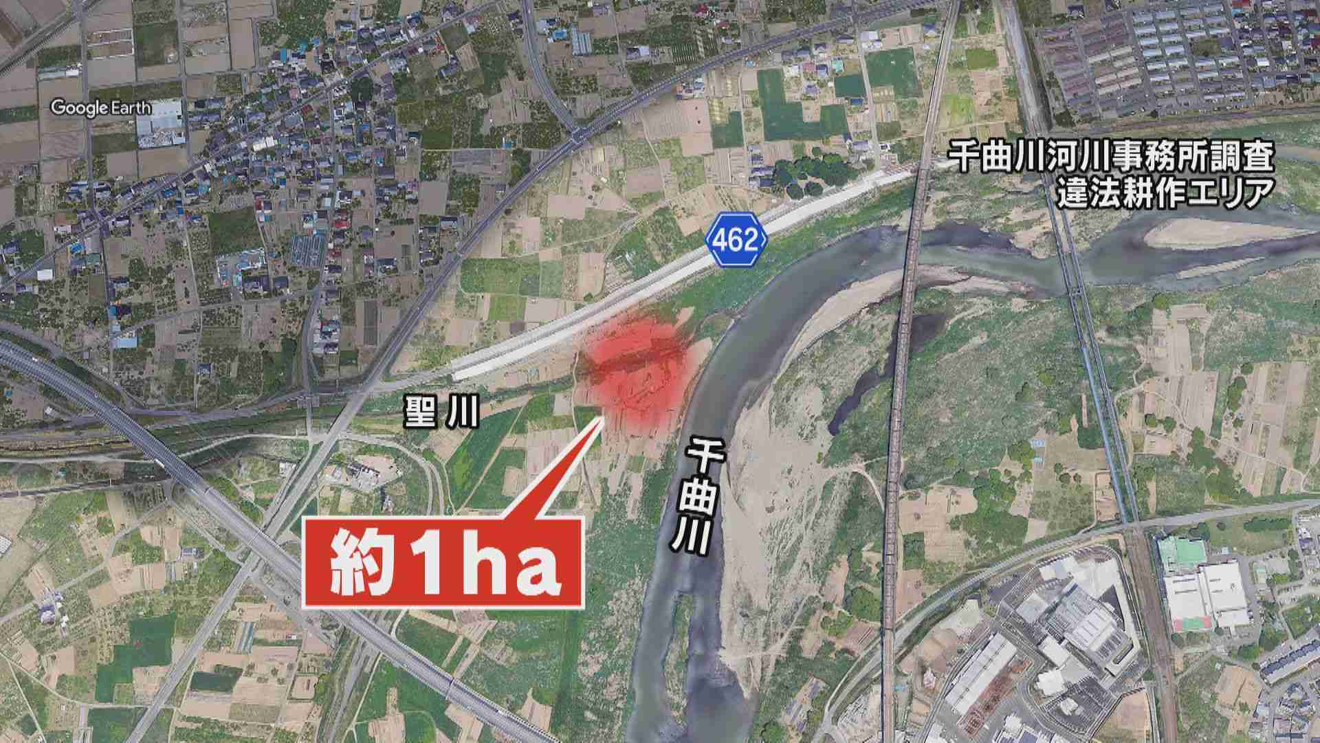 “ヤミ畑”の主を直撃「やめない、知らない」注意無視…河川敷に無許可で　野菜栽培、ニワトリ小屋も