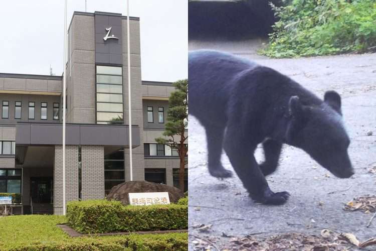 クマ駆除で「人でなし」「地獄に堕ちろ！」のクレーム　秋田県美郷町に寄せられた苦情は2日で電話450件・メール160件、役場担当者の苦悩（NEWSポストセブン） - Yahoo!ニュース