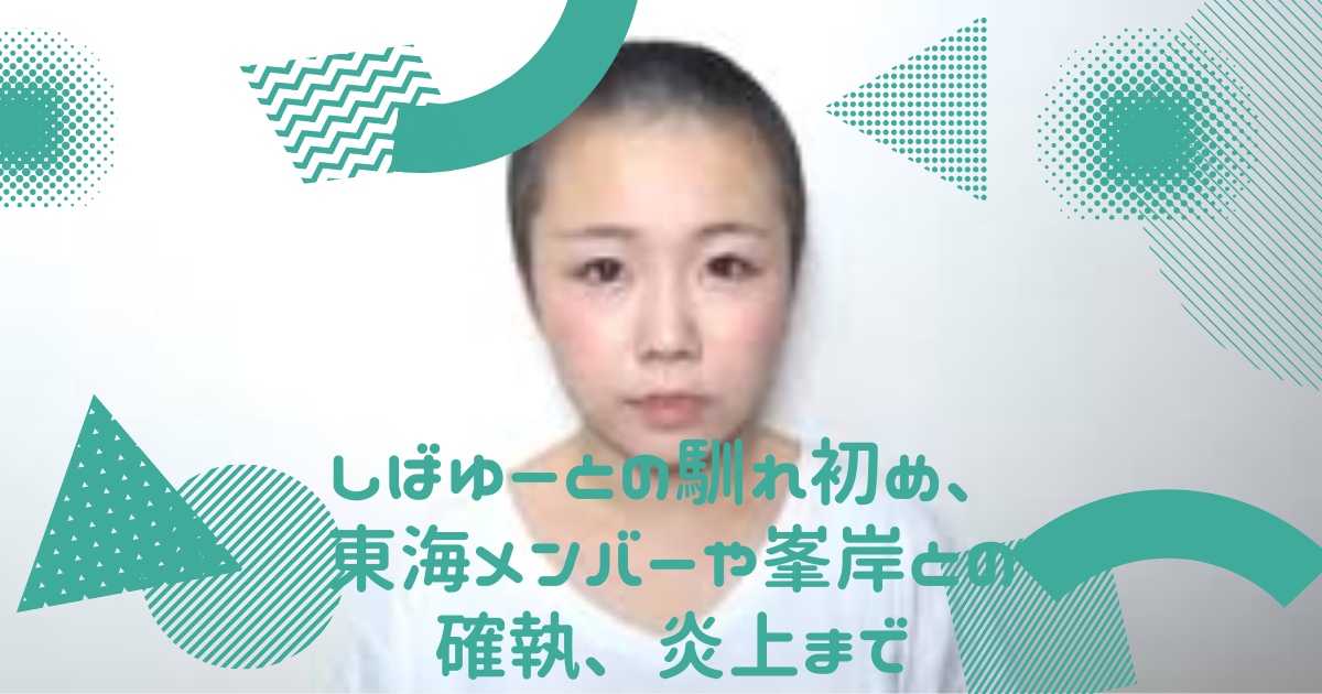【あやなん】『東海オンエアの夫しばゆーとの馴れ初め、東海メンバーや峯岸との確執、炎上まで』経歴を紹介 - あおいのしゅみぶろぐ