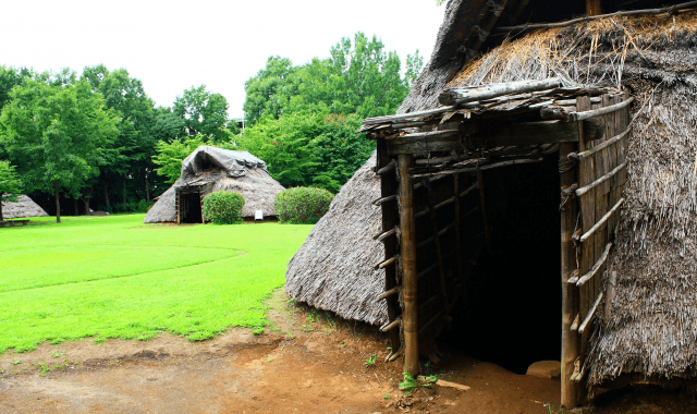 縄文人から現代日本人にDNAが伝わっている割合は12％ | 斎藤成也 | テンミニッツTV