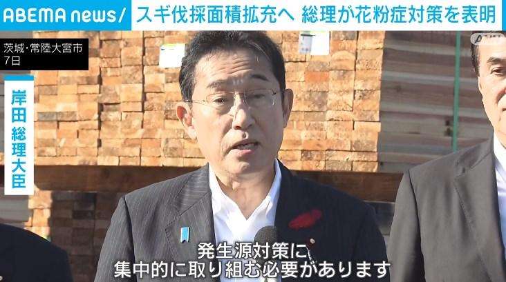 スギ伐採面積を拡充へ 岸田総理が花粉症対策を表明（ABEMA TIMES） - Yahoo!ニュース