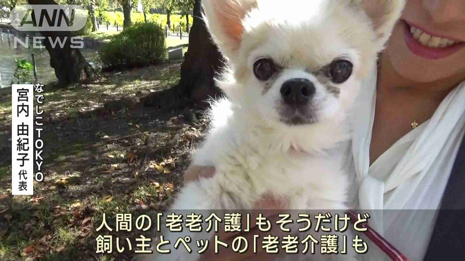 高齢者とペット「老老介護」に支援　犬や猫も長寿命化で新サービス