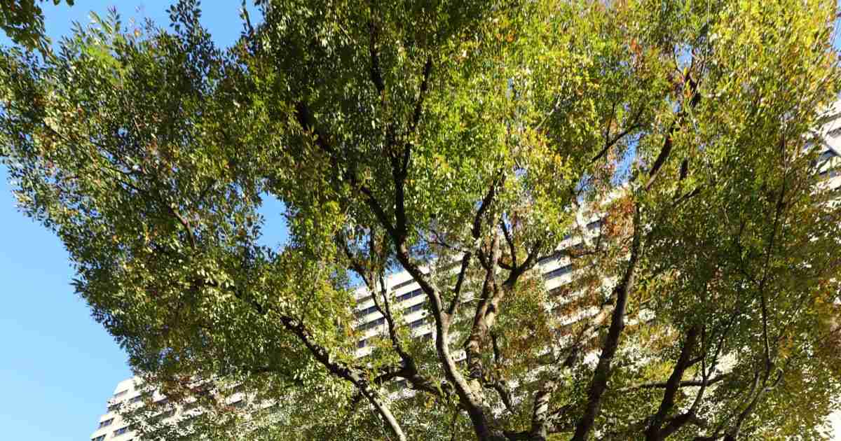 「懲役20年は到底納得できない」LINE地獄に“恨みノート”…49ヵ所刺された女性遺族の怒り | FRIDAYデジタル