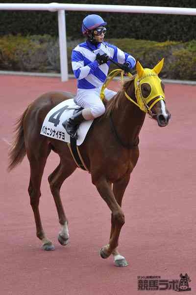 今の気持ちを競走馬の名前っぽく発表するトピ
