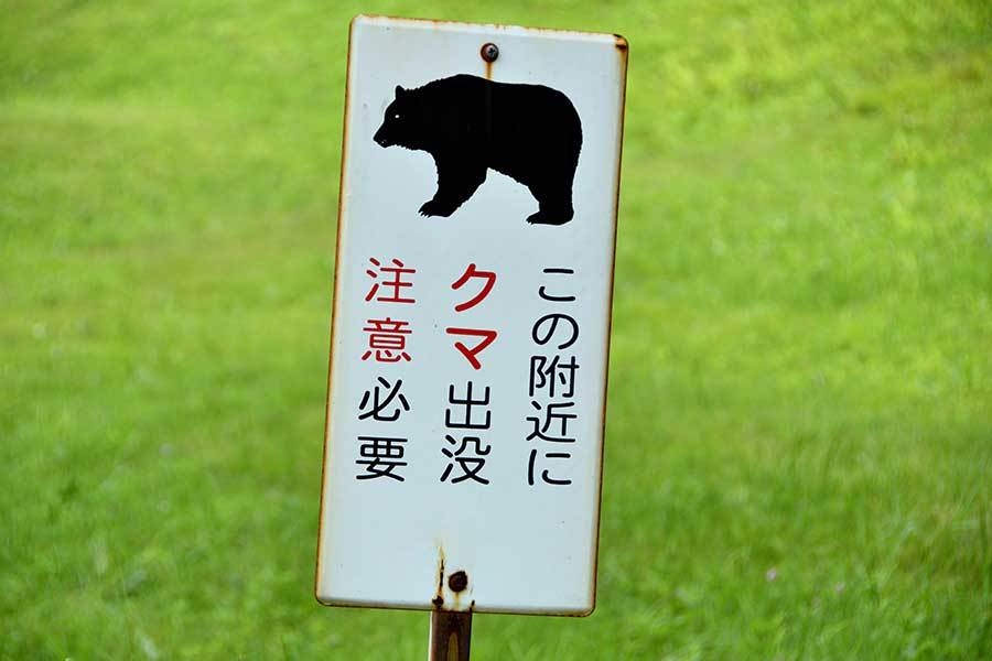 「クマこそ被害者」物議の保護団体を直撃　バッシング浴びた「どんぐりをまけばいい」発言の真意（ENCOUNT） - Yahoo!ニュース