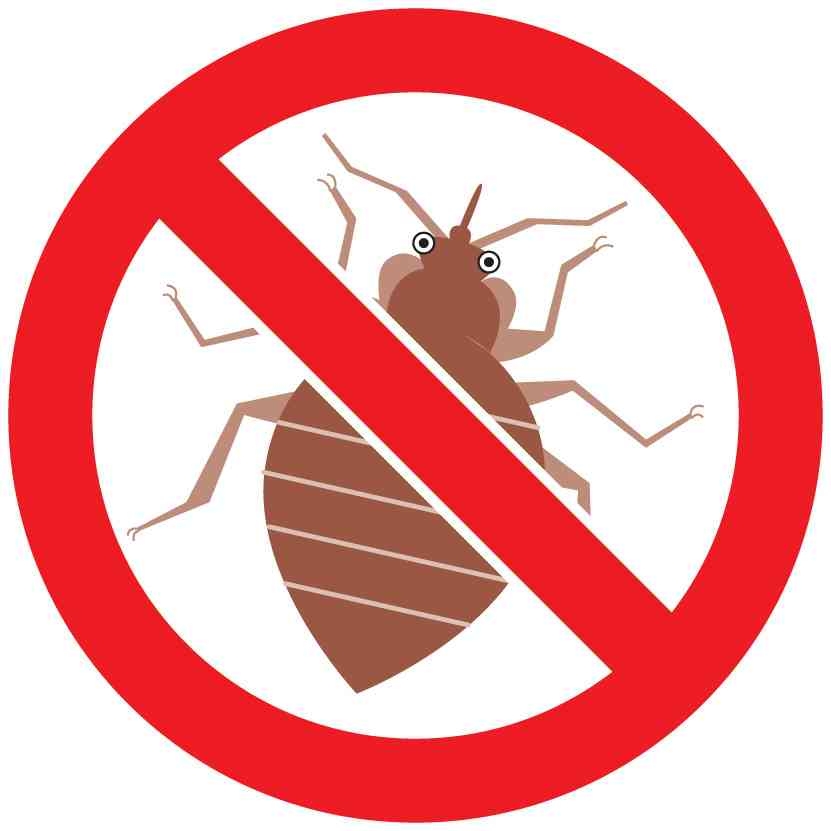 【トコジラミ】対策教えて