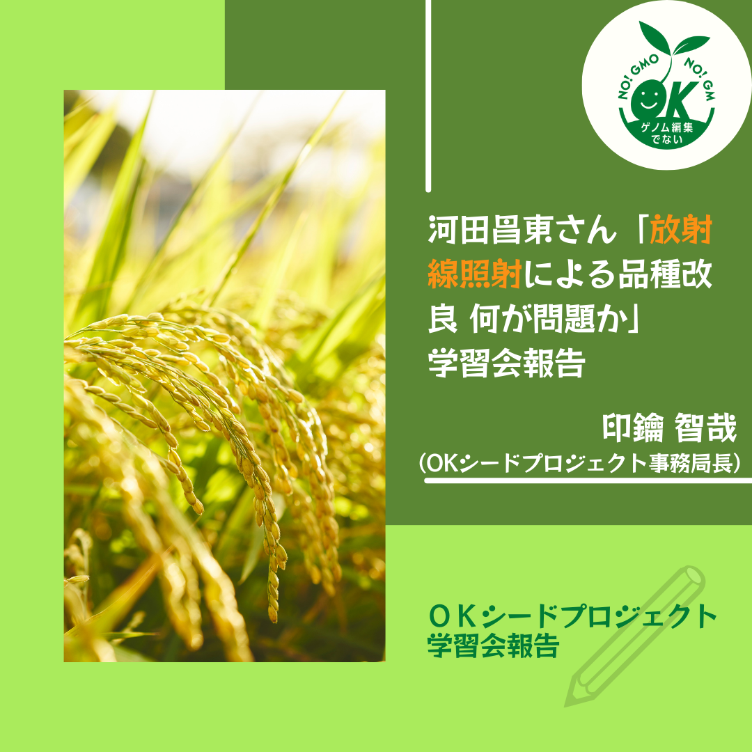 河田昌東さん「放射線照射による品種改良 何が問題か」 学習会報告 | 放射線育種 | OKシードニュース | OKシードプロジェクト