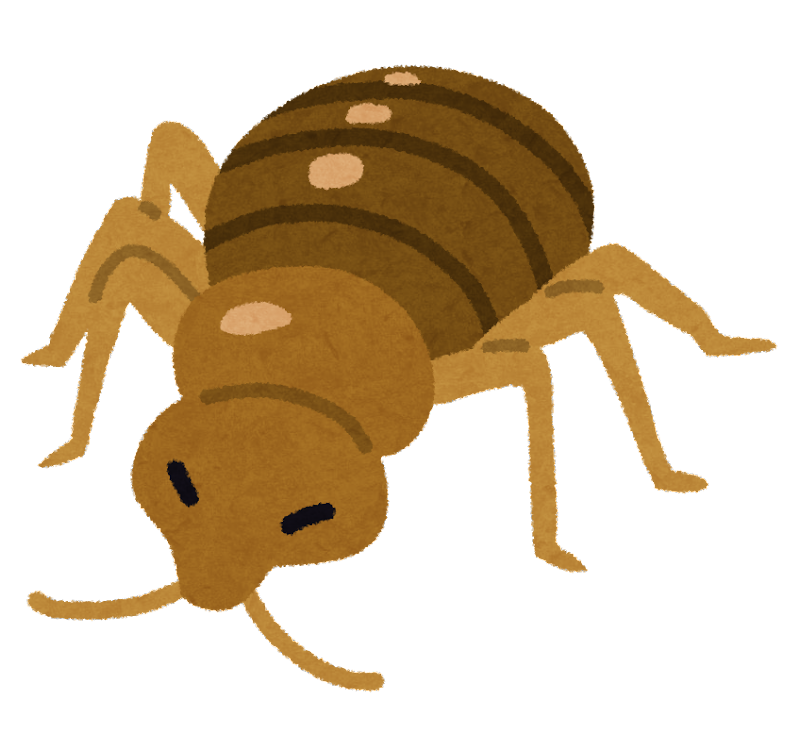 五輪まで1年弱、トコジラミ大量発生で揺れるパリ「本当にトラウマになった」当局は駆除作戦に着手