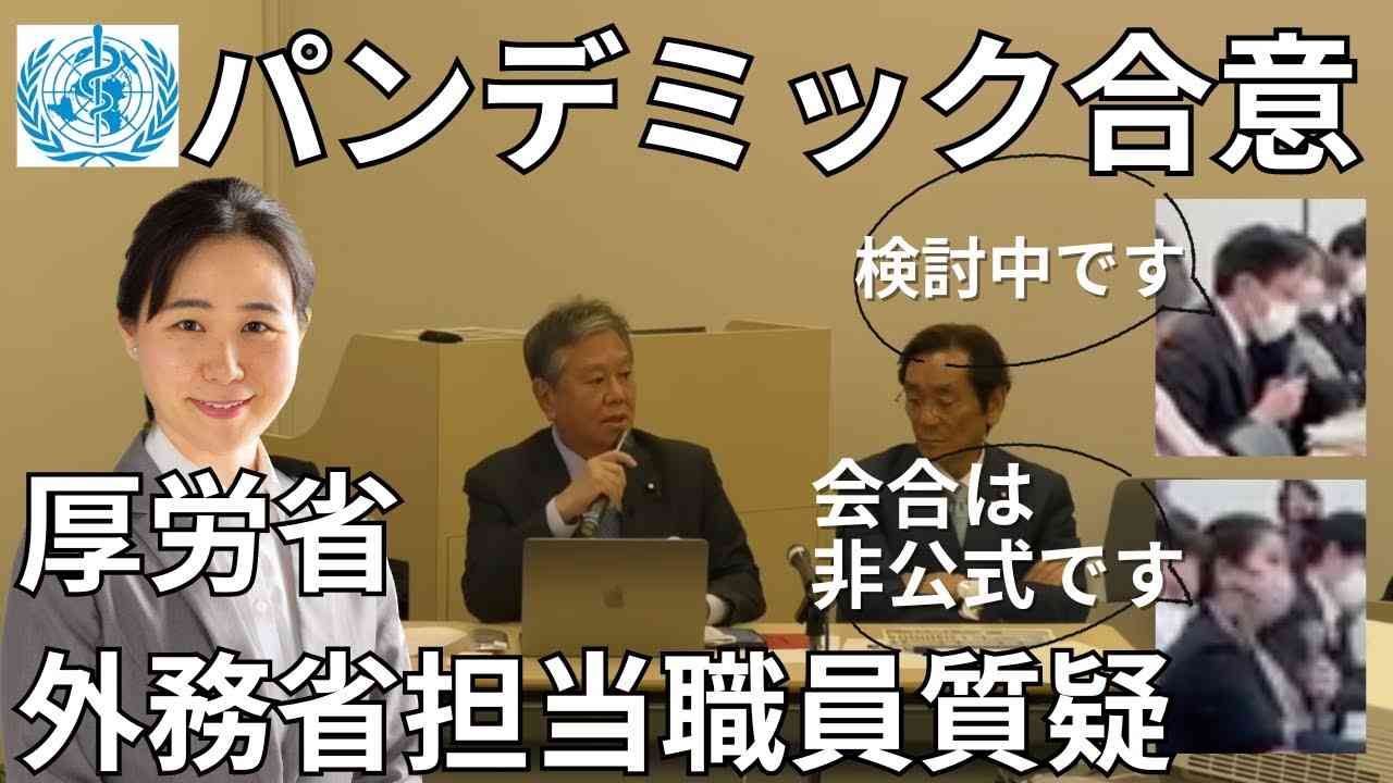 【生配信】パンデミック合意は国民に内緒で水面下で進められている！WCH議連発足会の厚労省・外務省担当者質疑 - YouTube