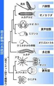 皆さんが好きな昆虫を教えてください!