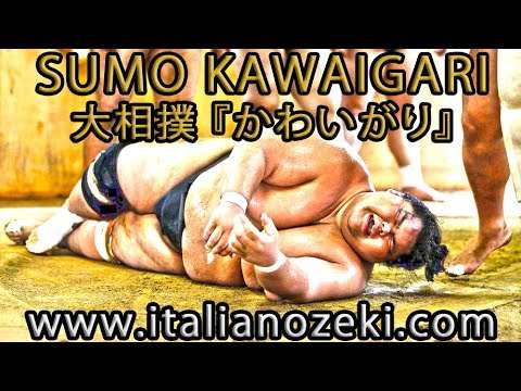 KAWAIGARI in SUMO (Takanohana, Takayasu, Hakuho, Terunofuji) / 大相撲『かわいがり』貴ノ花 隆の里 高安 白鵬 照ノ富士 - YouTube