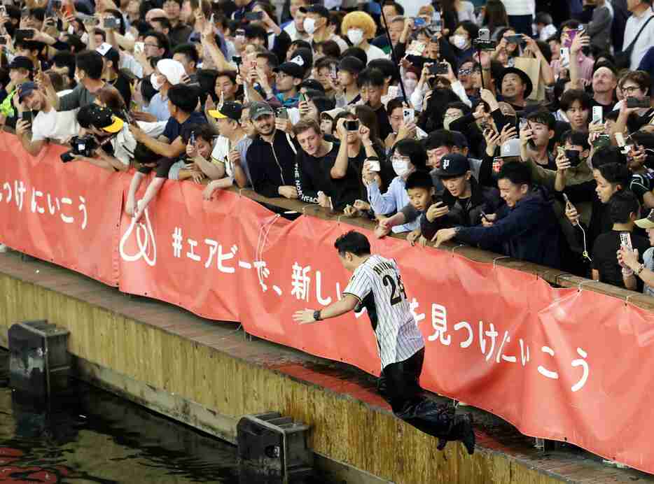 飛び込む阪神ファン　プロ野球 (時事通信) - Yahoo!ニュース