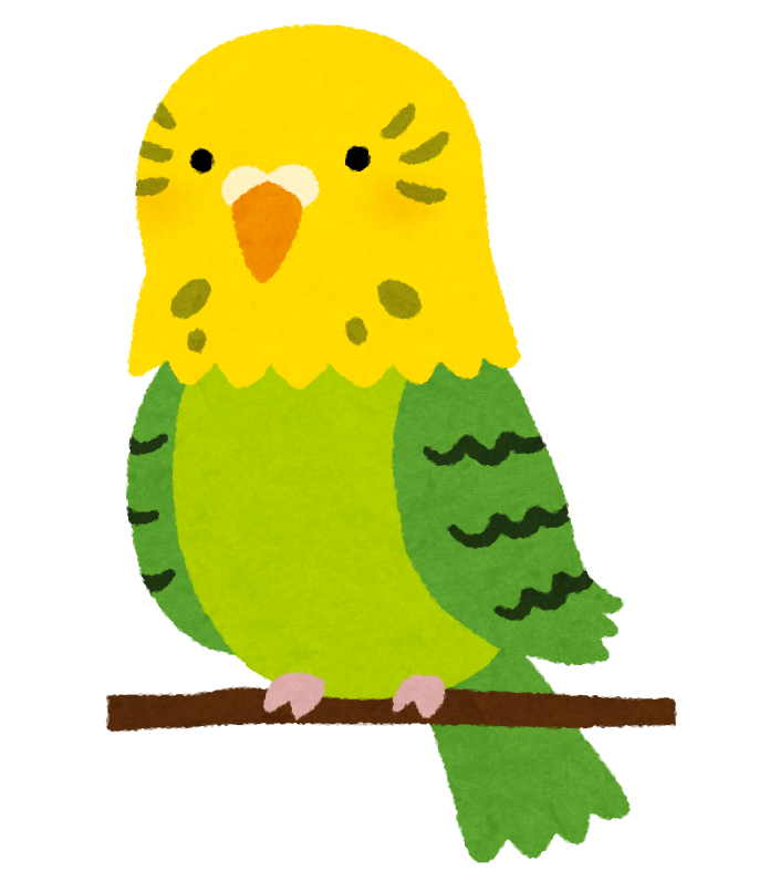 インコ、オウム、文鳥の健康管理について
