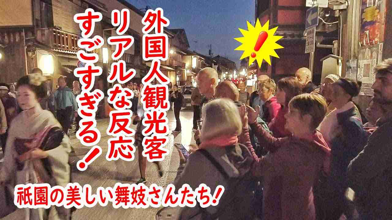 【リアルな海外の反応】外国人観光客、舞妓さんにいろんなリアクション！美しい祇園の夜　#kyoto  #maiko - YouTube