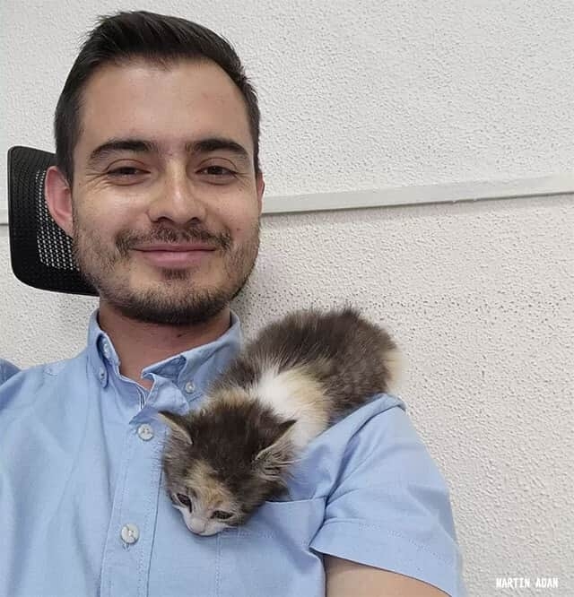 ペットシッターが見つからず生徒が連れてきた子猫の面倒を授業中ずっとみていたヒゲメン大学教授