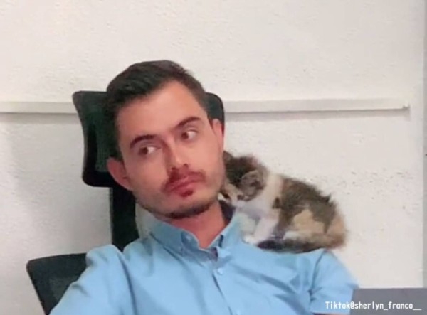 ペットシッターが見つからず生徒が連れてきた子猫の面倒を授業中ずっとみていたヒゲメン大学教授