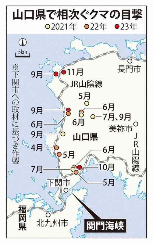 クマの九州上陸はあるのか　山口で生息域拡大　関門海峡泳げる?
