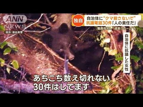 クマ駆除に抗議電話30件…女性を直撃「人の責任だ」秋田知事「感情論多い」【詳細版】【もっと知りたい！】(2023年11月9日) - YouTube
