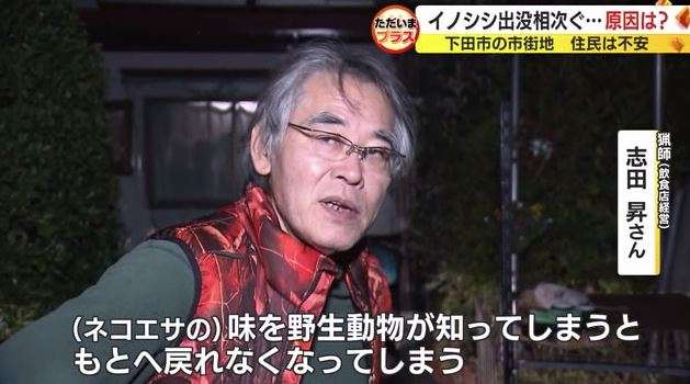 ネコの餌でイノシシ捕獲　飼い主のいないネコにまいた餌の味を覚え連日　街に出没か　静岡・下田市