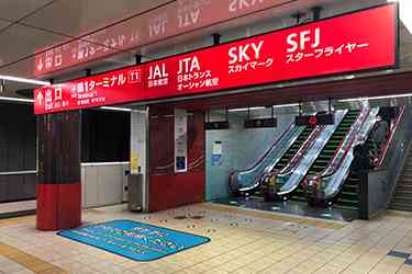 コロナ明けてから旅行はどれくらい行ってる？