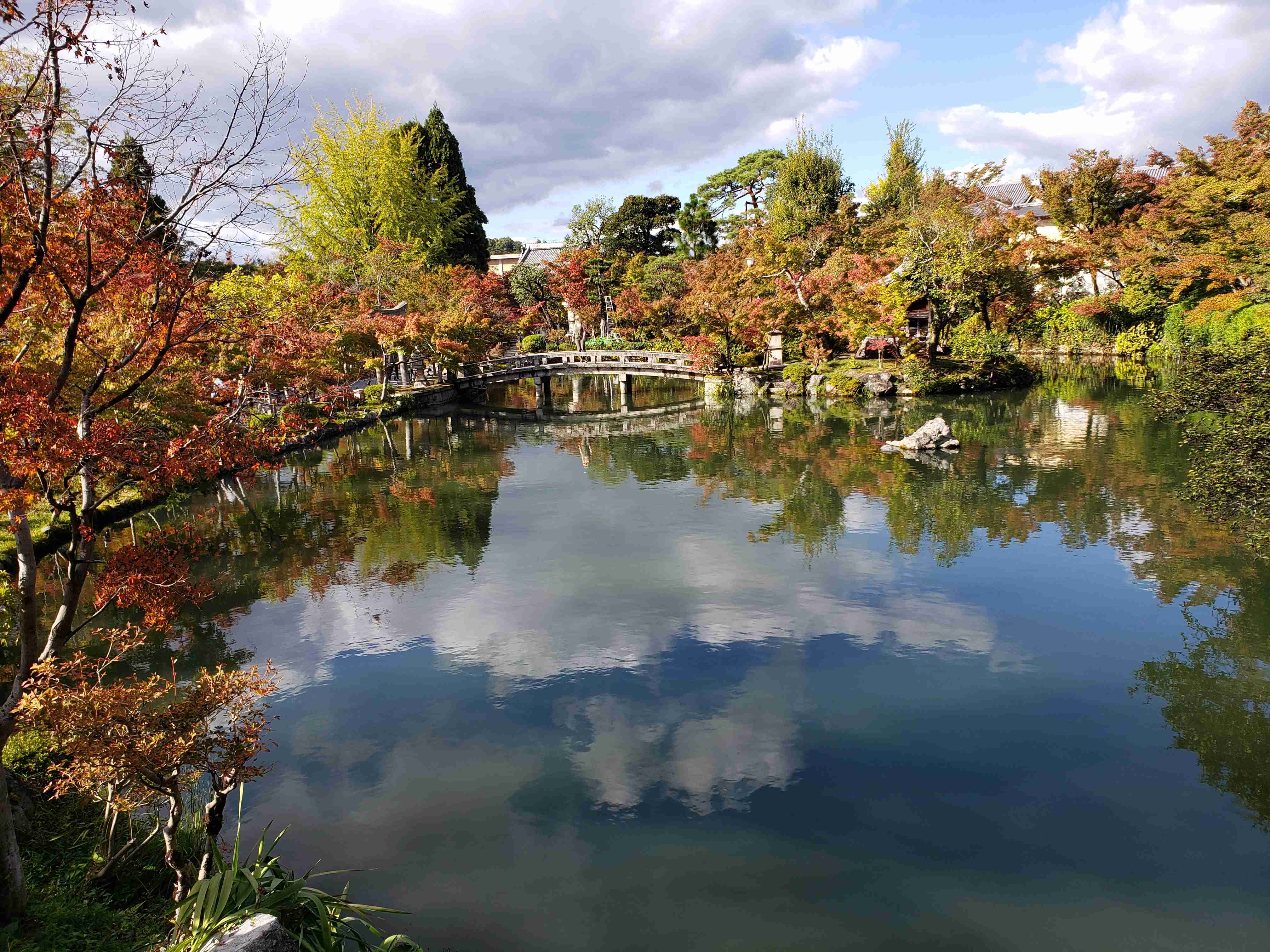 皆さんが撮った紅葉の写真が見たい