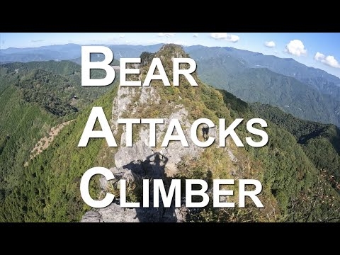 【埼玉秩父】Bear attacks climber / 登山中に熊に襲われた - YouTube