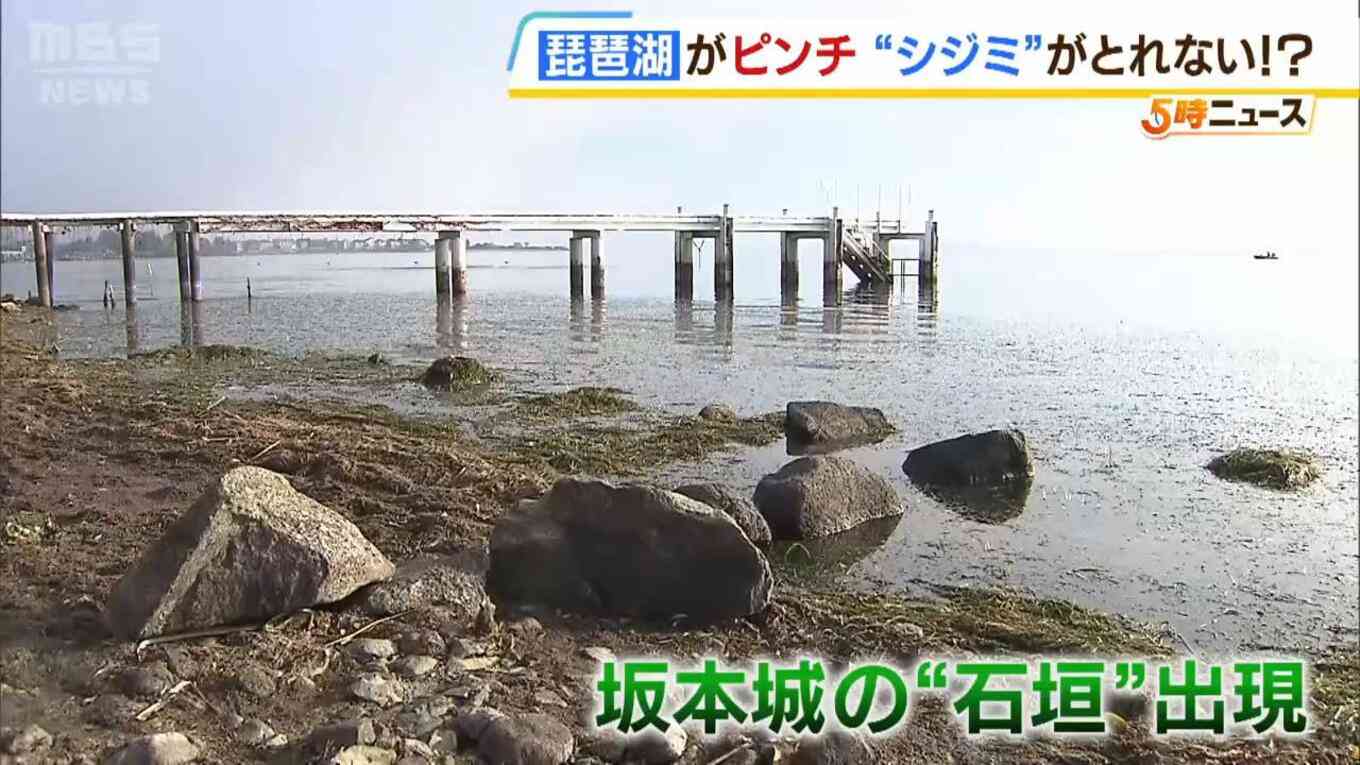 琵琶湖がピンチ！水位がマイナス66センチに…滋賀県が「連絡調整会議」を設置　環境や生活への影響を調査へ