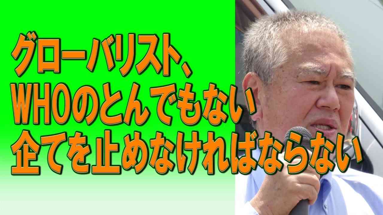 選ばれてもいない者が国家の上にたち、命令することはできない。全体主義を止めなければならない。2023/08/24 - YouTube