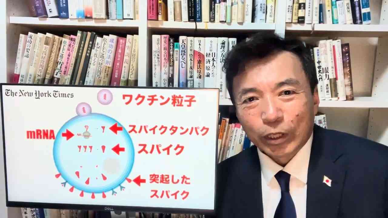 コロナワクチンのプラスミドDNA汚染　 フィリップ・バックホルツ博士　及川幸久 - ニコニコ動画