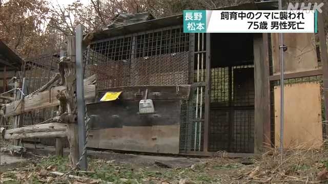 飼っていたクマに襲われ ７５歳男性死亡 長野 松本 ｜NHK 首都圏のニュース