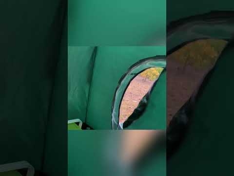Bear Attacked Me In My Tent  short - YouTube